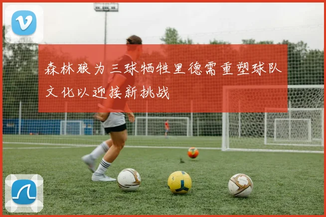 森林狼为三球牺牲里德需重塑球队文化以迎接新挑战